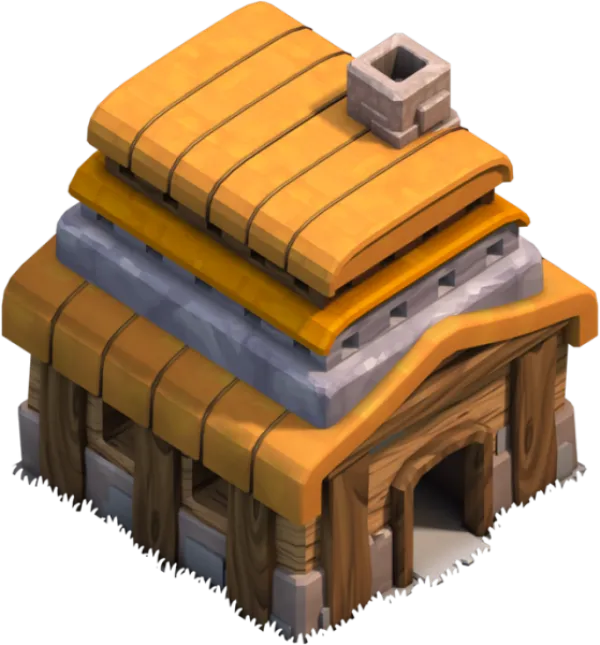 Town Hall 4